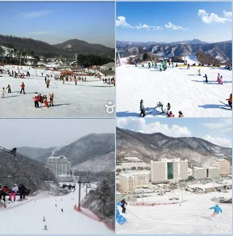 스테이헤리티지 경복궁2#한옥독채#경복궁역10분#12인#4방2화장실#1층#평지#맛집리스트제공#호텔식침구#서울윈터페스타#광화문#명동 Villa